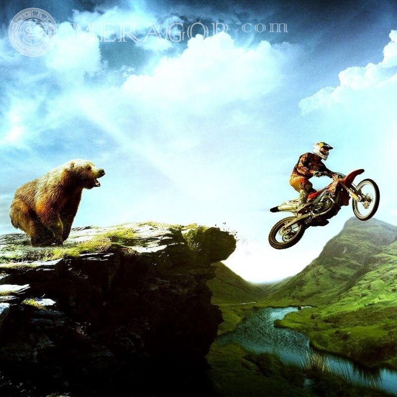 Bear and motorcyclist funny icon Bears Sporty