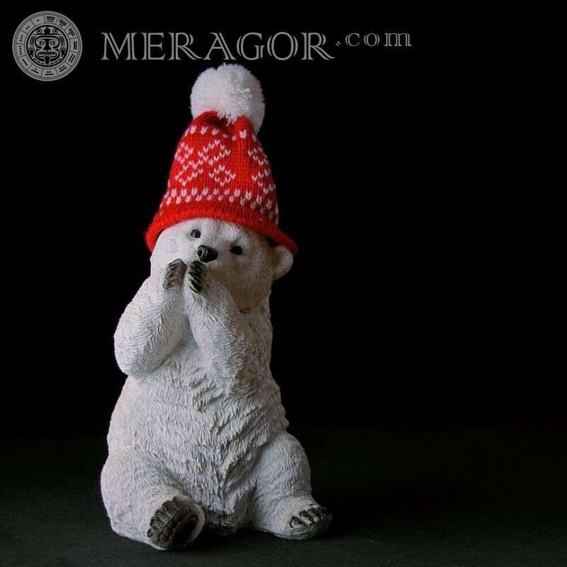 Ours polaire dans une photo de chapeau pour un avatar Ours