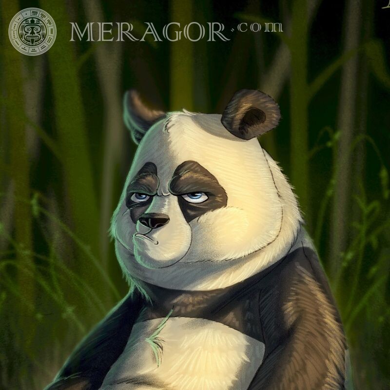 Картинка панды на аву Медведи