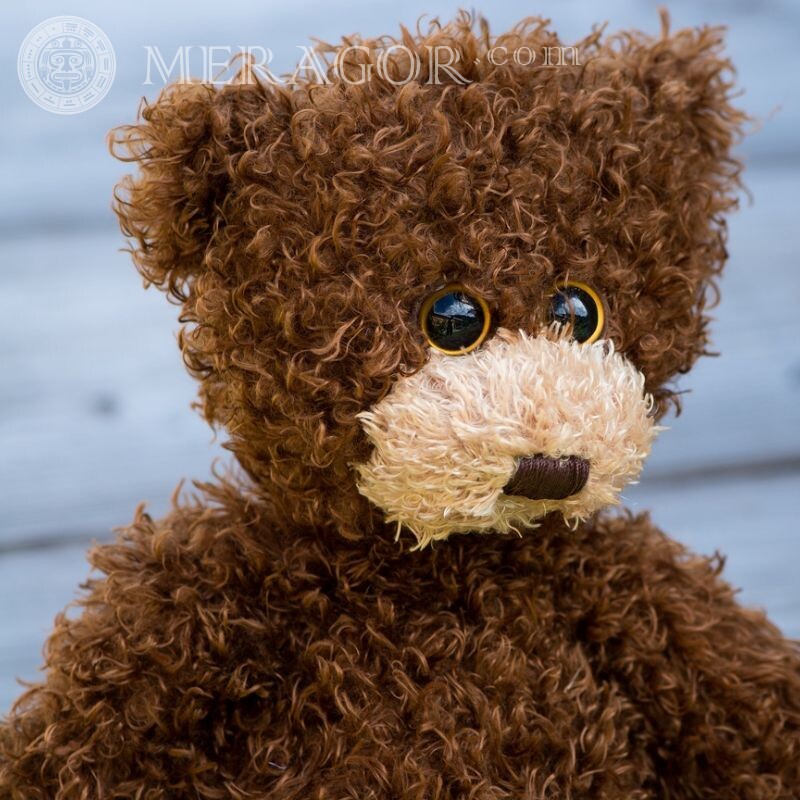 Teddybär Download auf Avatar Baer