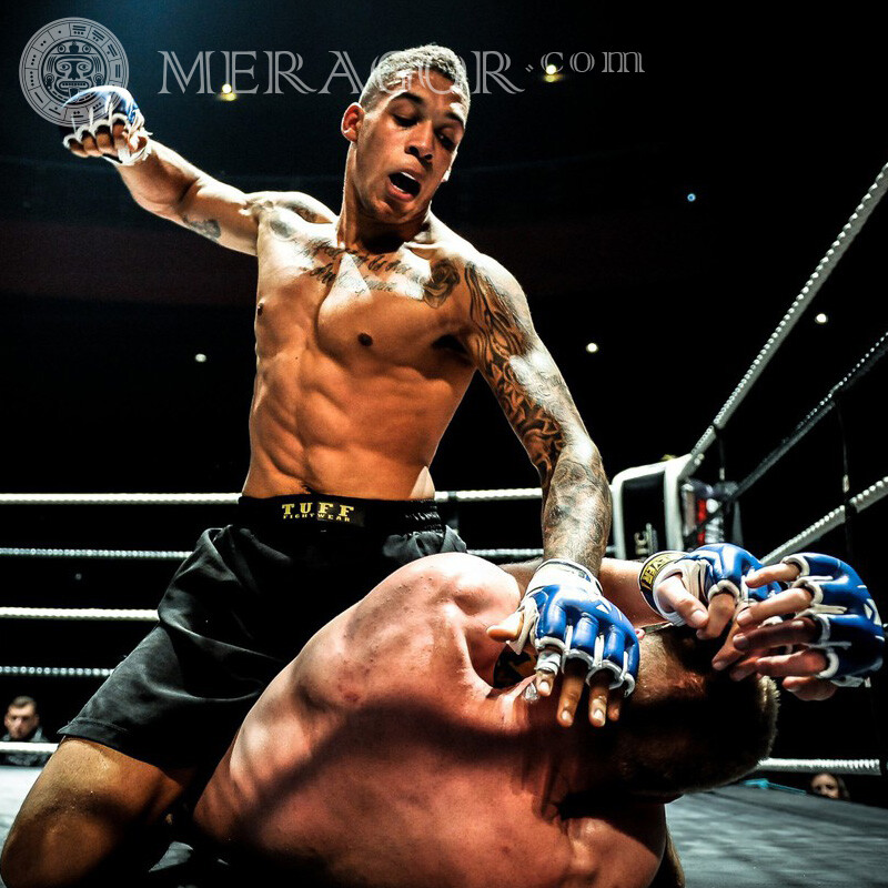 Avatar de combat MMA Sportifs