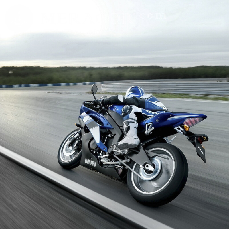 Foto de motociclista no avatar do Instagram Velo, Motorsport  Transporte Raça