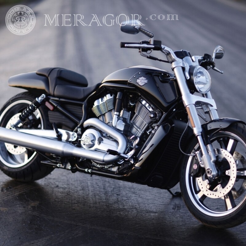 Télécharger la photo de couverture de moto gratuite pour un mec Velo, Motorsport Transport