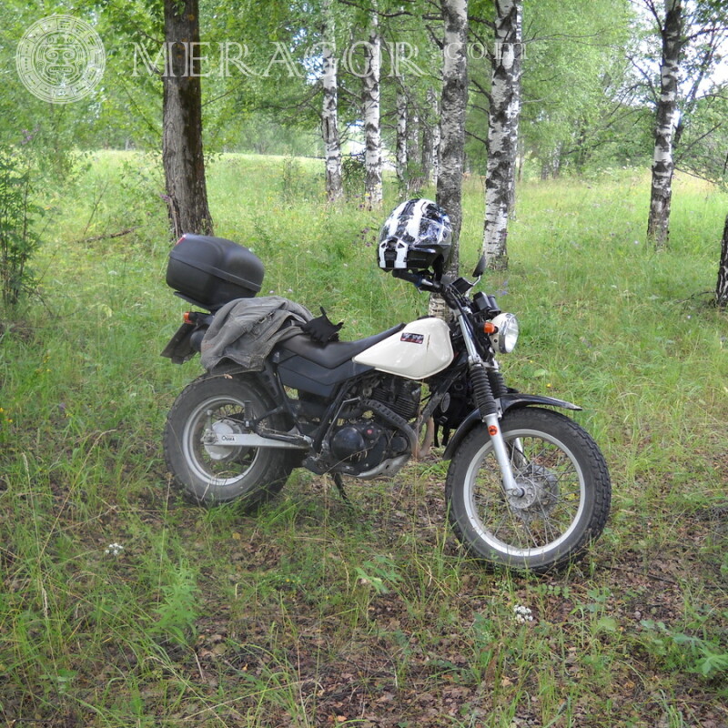 Laden Sie ein Motorrad auf einem Avatar für ein Foto kostenlos herunter Velo, Motorsport Transport