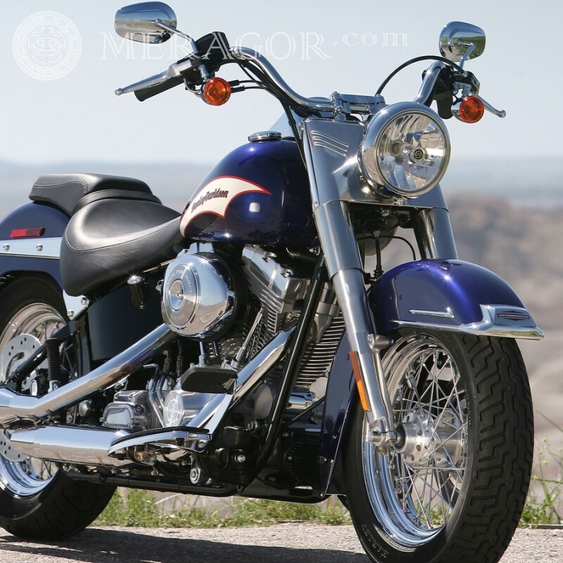 Baixe uma motobike para uma foto de cara gratuitamente em um avatar Velo, Motorsport  Transporte