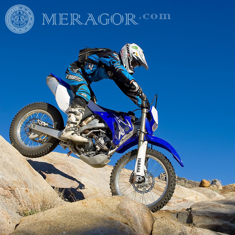 Fahrerfoto auf Motocross auf Avatar Velo, Motorsport Transport Rennen