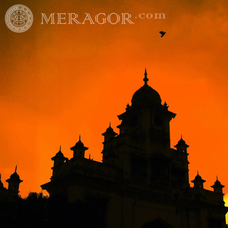 Temple silhouette bird orange sunset for social network Buildings