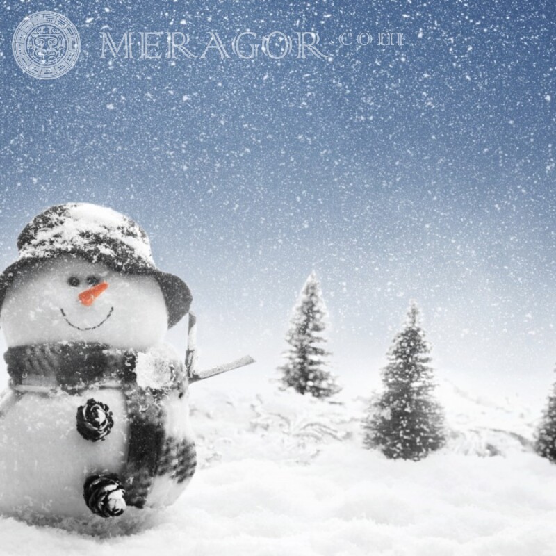 Снеговик на аву для ТикТок Праздники Новогодние