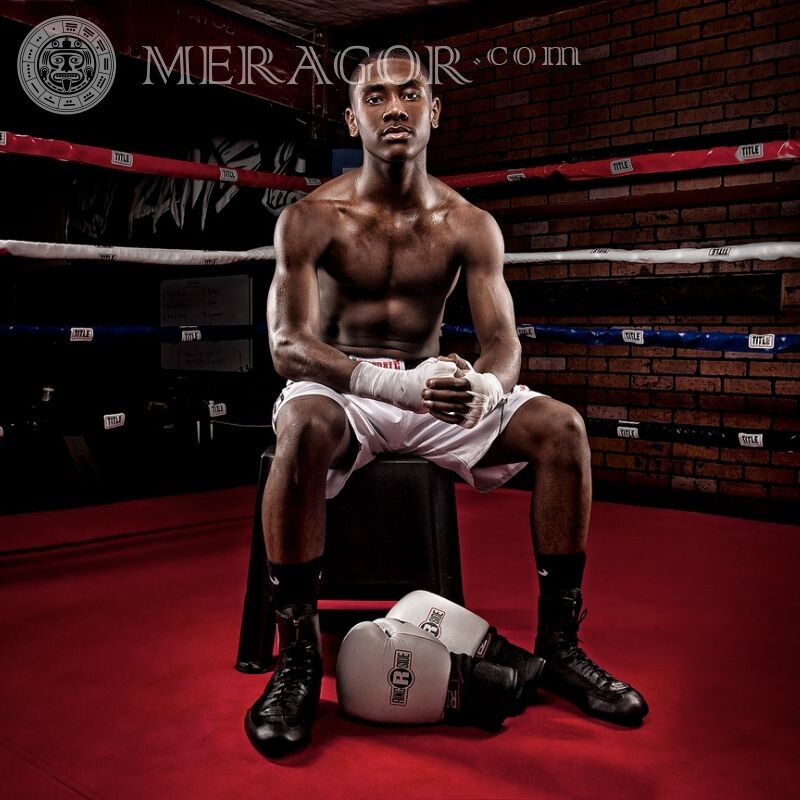 Boxer negro no avatar Negros Desporto