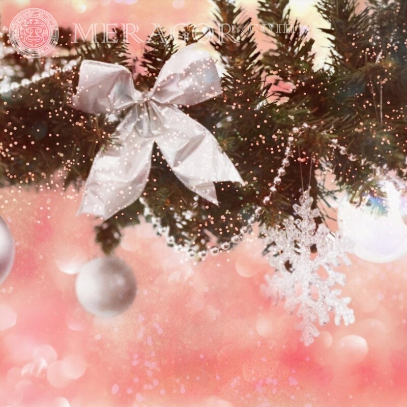 Christmas tree branch on avatar download Holidays New Year