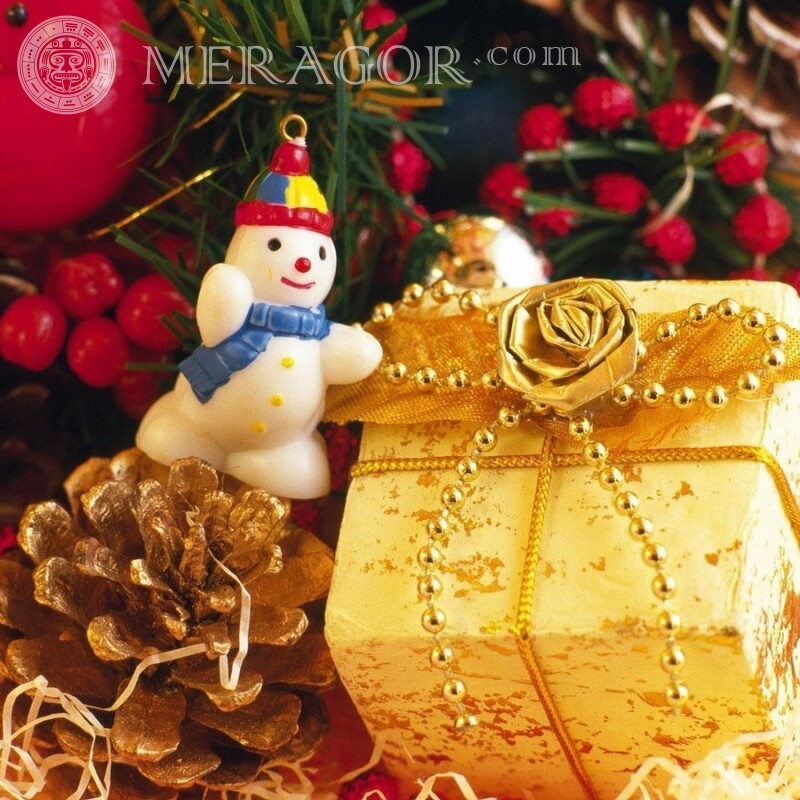 Neujahrsgeschenk-Profilfoto Feierzeit Weihnachten Avatare