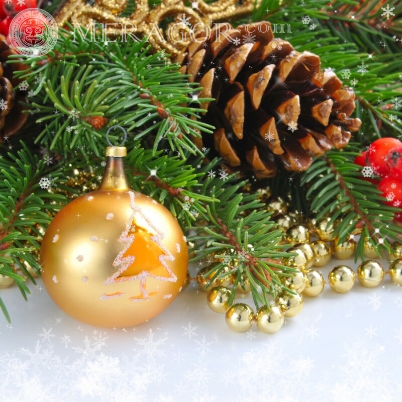 Ein Zweig eines Neujahrsbaums auf einem Facebook-Avatar Feierzeit Weihnachten Avatare