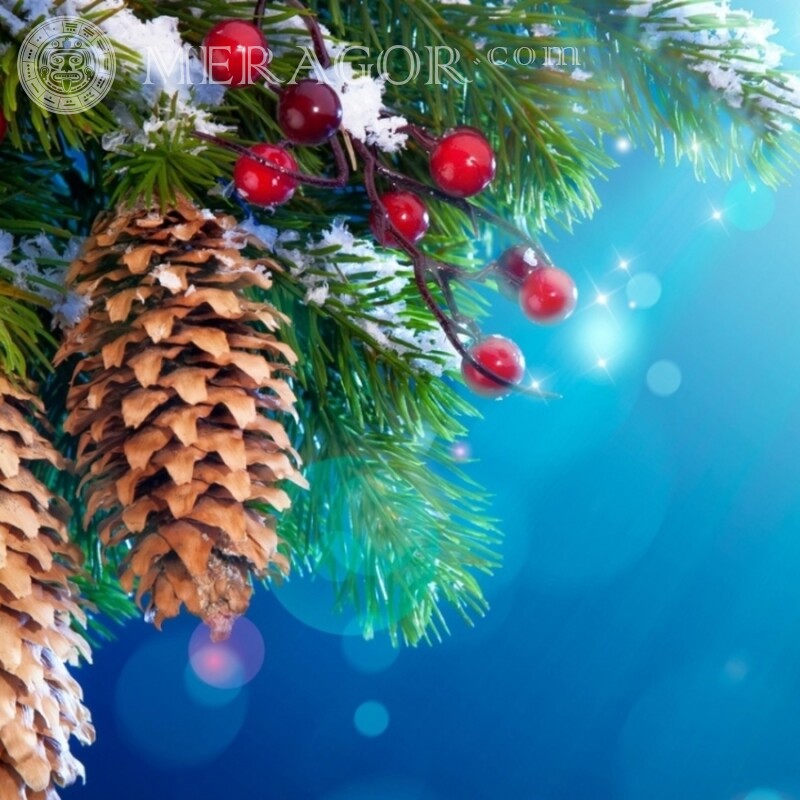 Zapfen auf einem Zweig Avatar für das neue Jahr Feierzeit Weihnachten Avatare