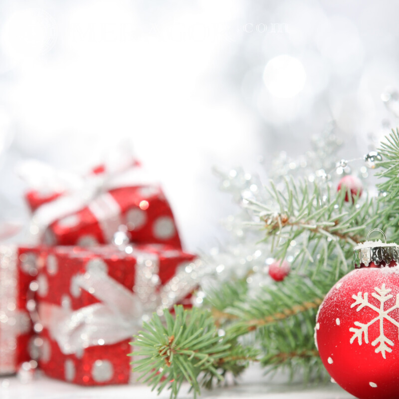 Fichtenzweig und Weihnachtsball Neujahr ava Feierzeit Weihnachten Avatare