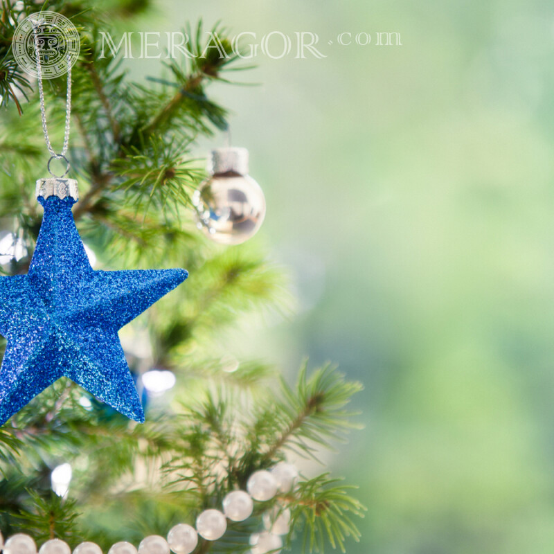 Étoile de jouet d'arbre de Noël sur avatar Fêtes de Nouvel an