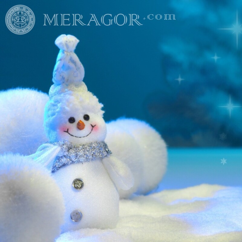 Bonhomme de neige sur l'avatar du nouvel an Fêtes de Nouvel an