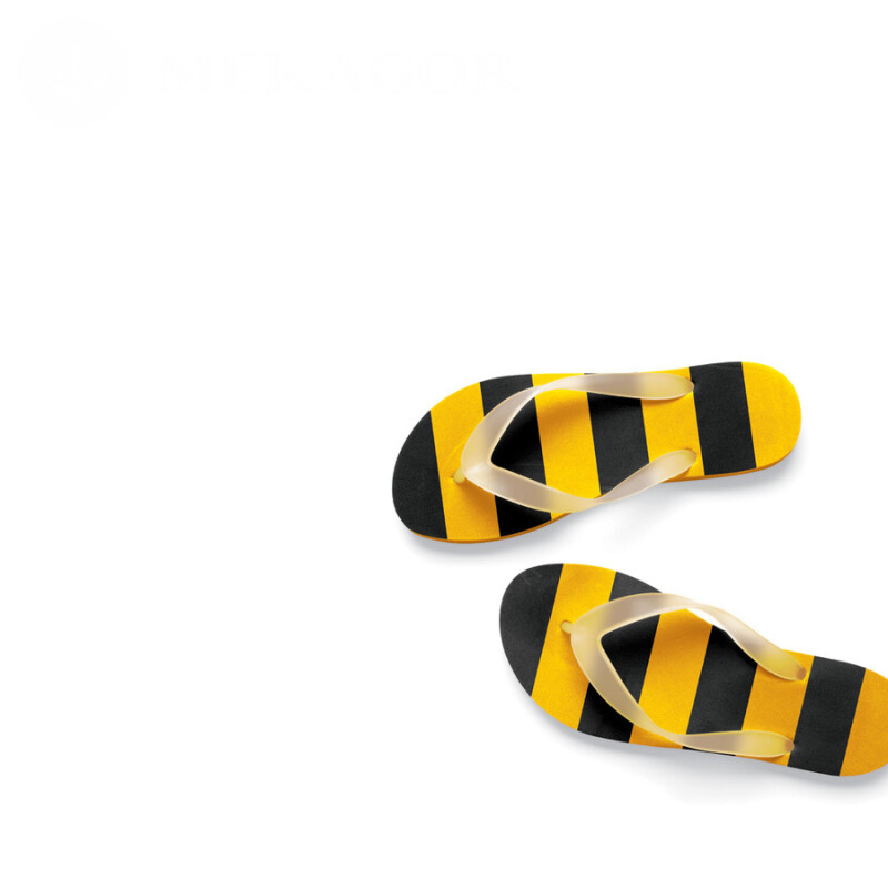 BeeLine flip-flops foto em sua foto de perfil Logos