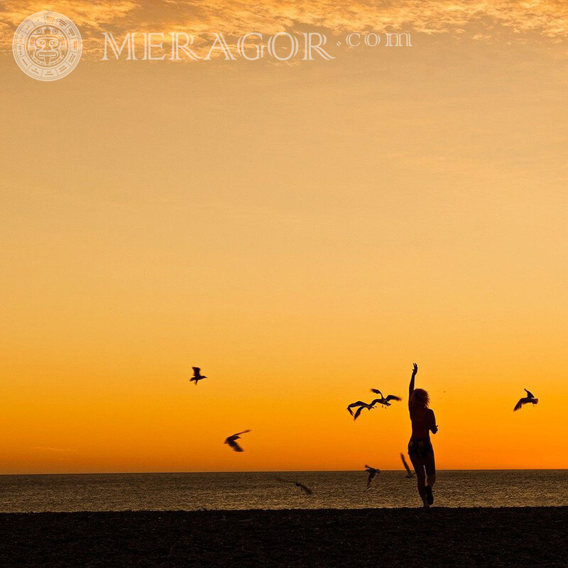 Girl at the sea photo Silhouette Birds