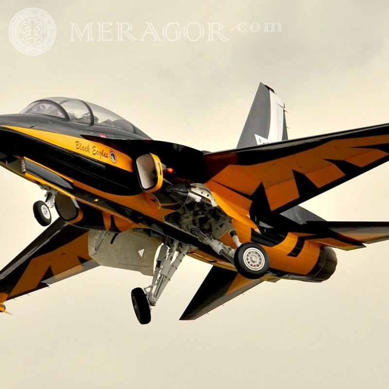 Download für Avatar Foto kostenlos für Kerl Militärflugzeuge Militärische Ausrüstung Transport