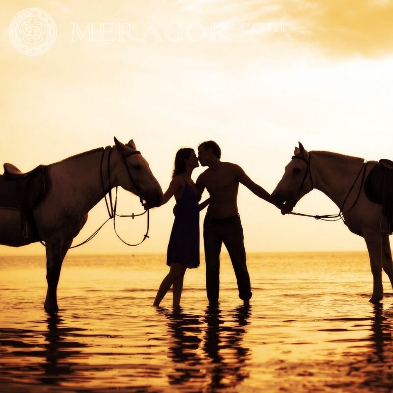 Silhouettes of lovers Love Horses Boy with girl