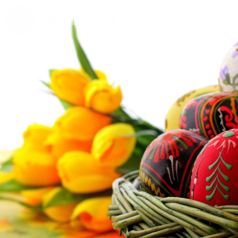 Крашеные яйца и цветы ава на Пасху Праздники
