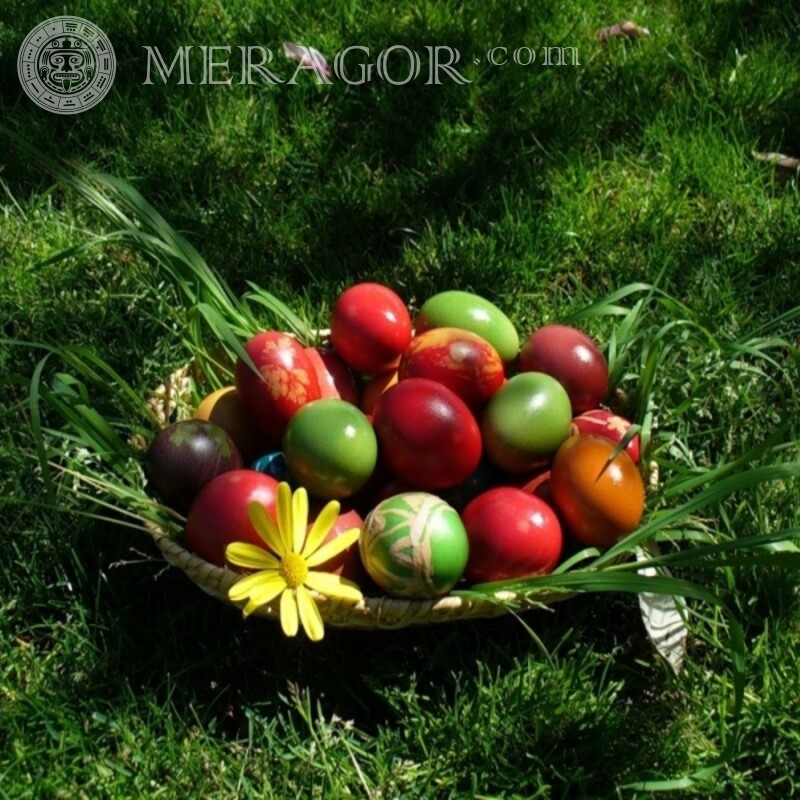 Ovos de Páscoa no download da foto do avatar Feriados