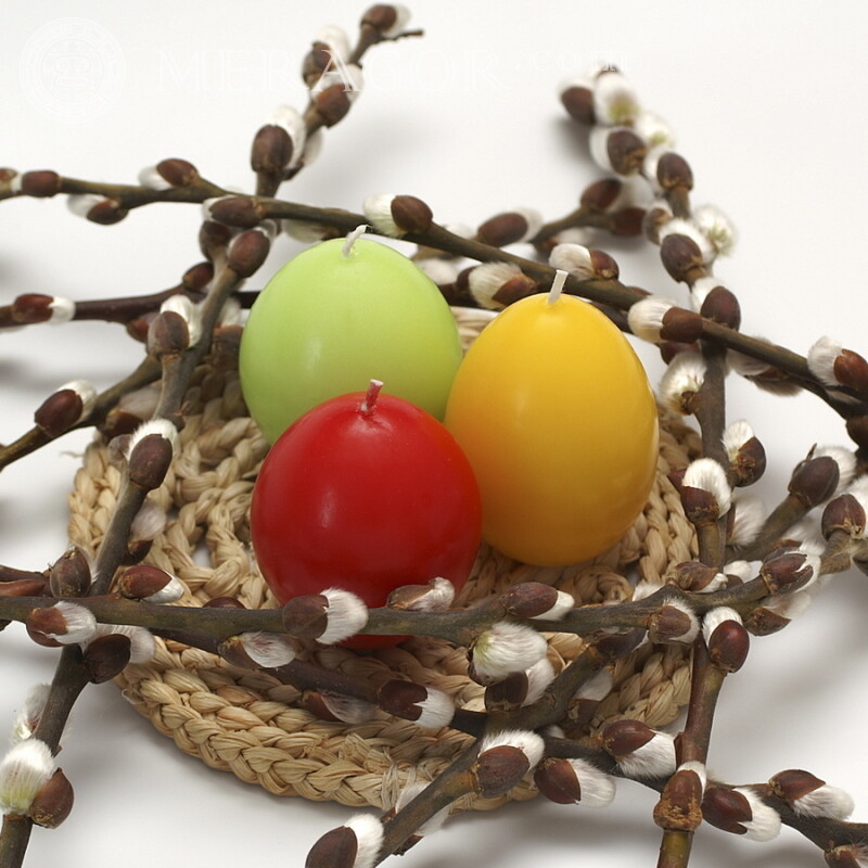 Huevos de Pascua y sauce en avatar Fiesta