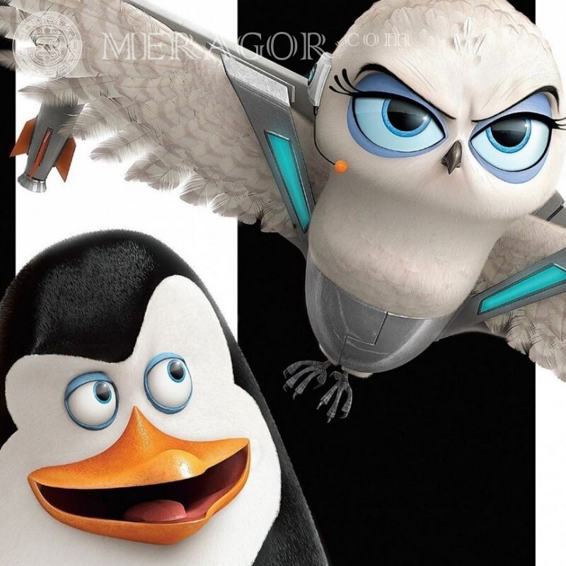 Madagascar Penguins for icon Cartoons