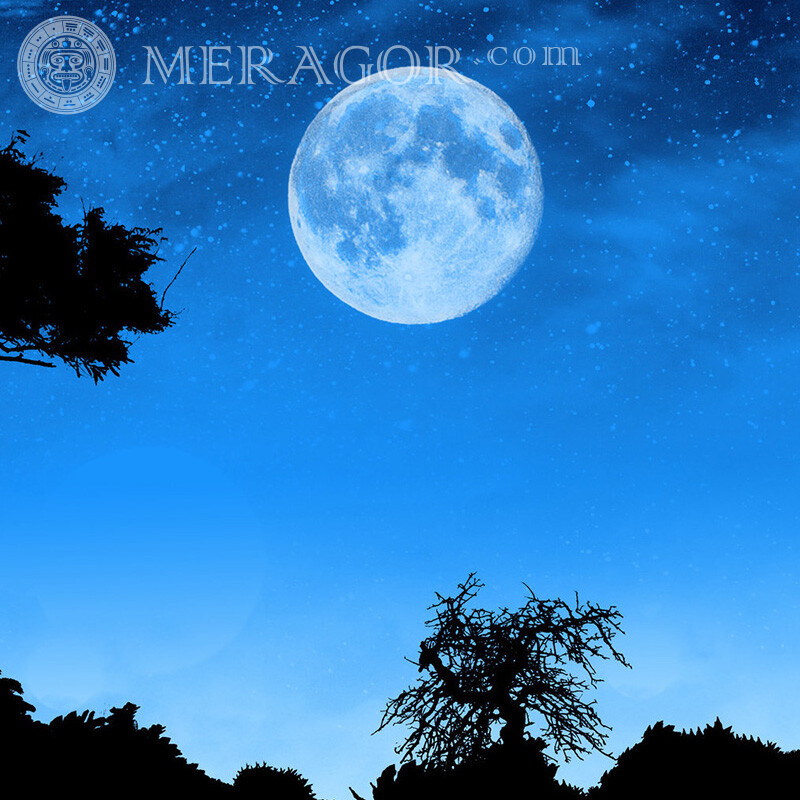 The moon in the night starry sky for account Nature