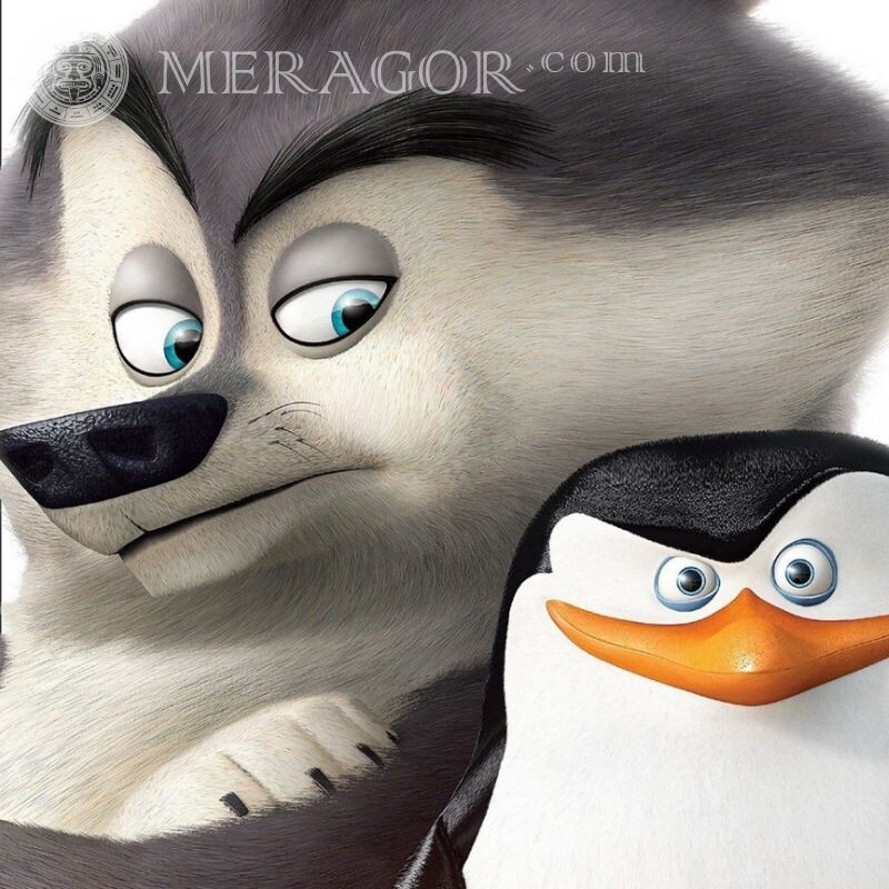 Imagem dos pinguins de Madagascar para avatar Desenhos animados