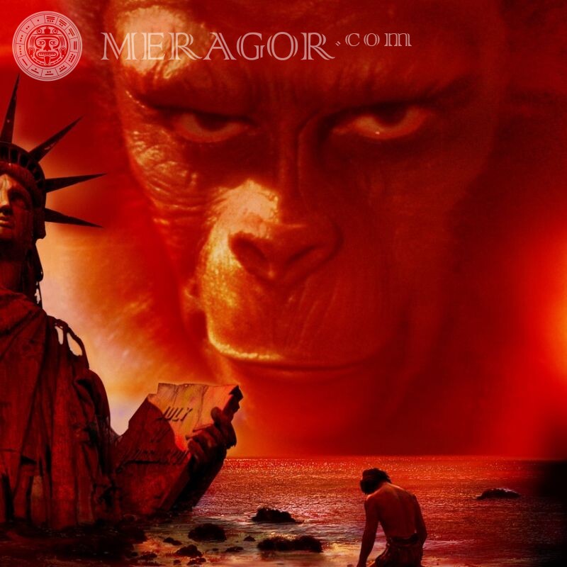 Planet of the Apes pic for icon From films Other animals