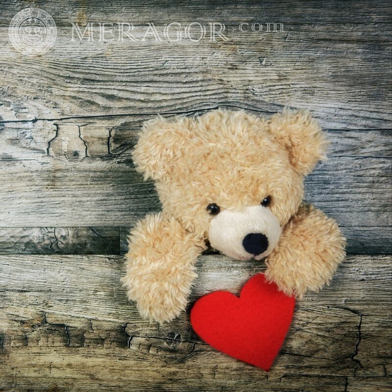 Картинки про любов на аватар Ведмідь Любов