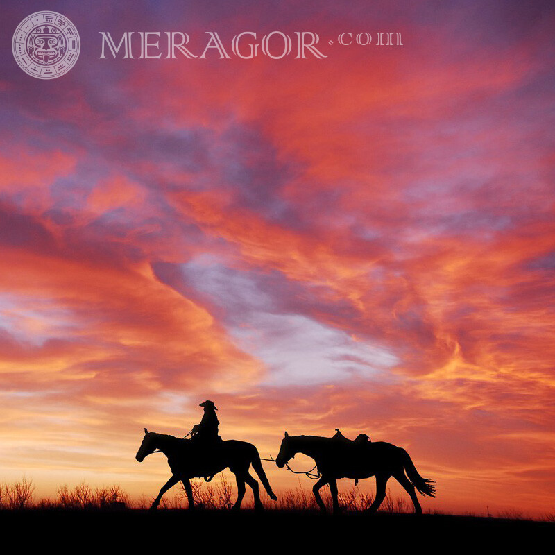Reiter mit zwei Pferden und rotes Glühenbild Pferde