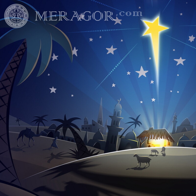 Imagen de estrella navideña para avatar Fiesta