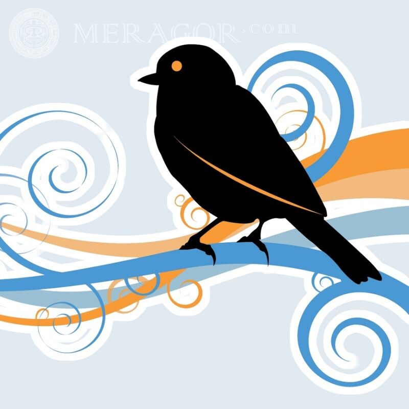 Картинка силует птиці на аватар Птах
