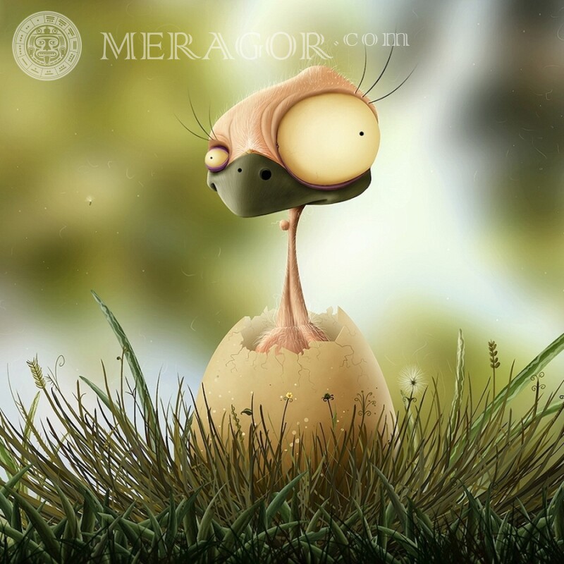 Avatar engraçado de pintinho em um ovo Humor Desenhos animados Aves Animais engraçados