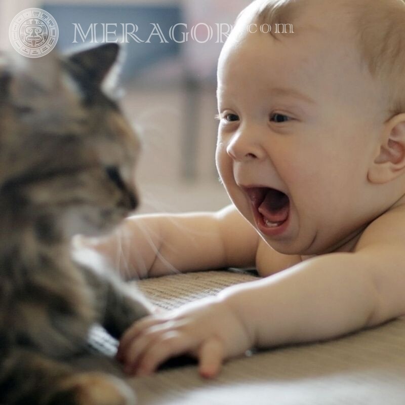 Toddler and cat funny icon Babies Cats Faces, portraits