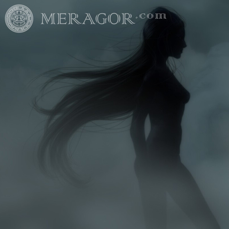 Обнажённая девушка с длинными волосами аватарка Силуэт Эротические