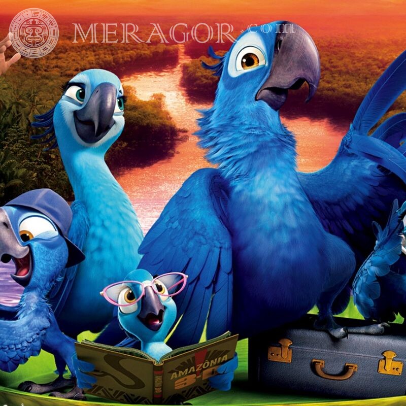 Papagei Rio Familie auf Avatar Zeichentrickfilme Vogel