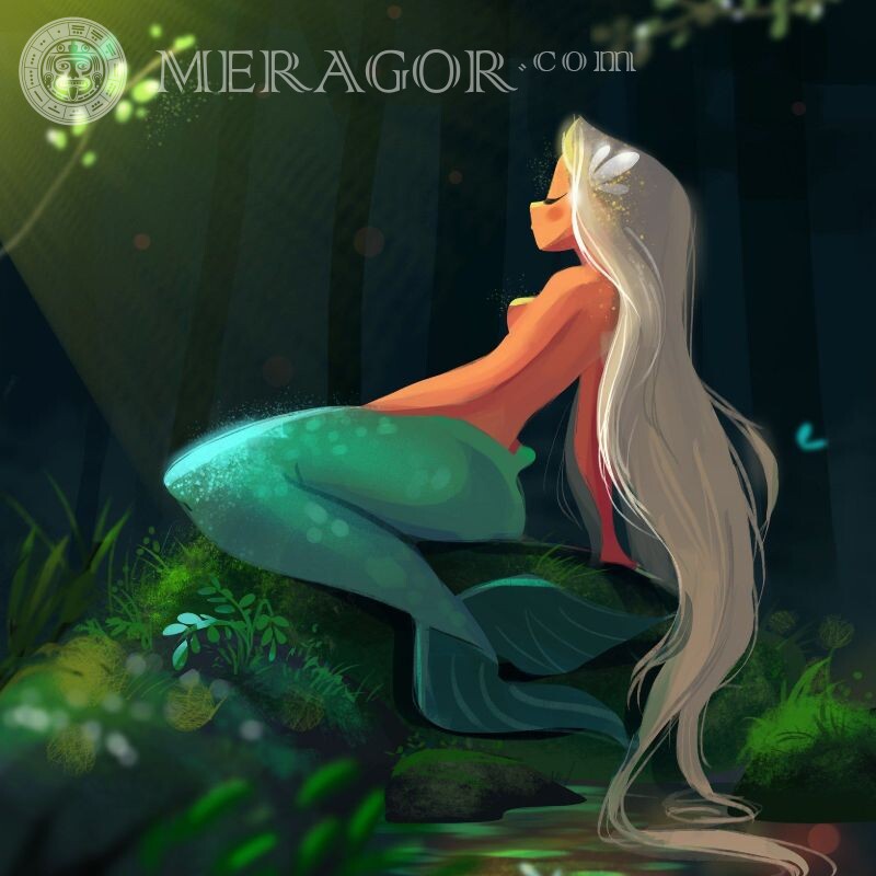Cartoon Meerjungfrau auf Avatar Zeichentrickfilme Meerjungfrauen