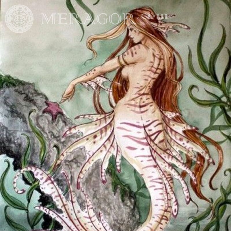 Meerjungfrau Avatare herunterladen Meerjungfrauen