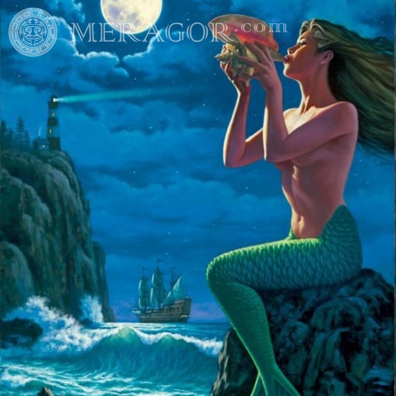 Laden Sie den wunderschönen Meerjungfrauen-Avatar herunter Meerjungfrauen
