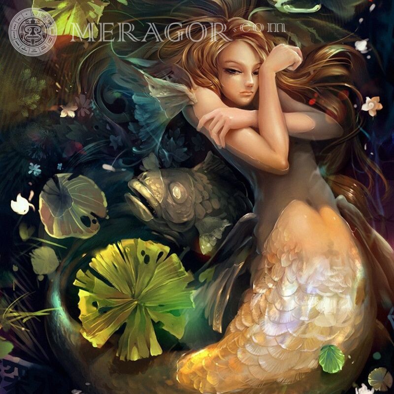 Beautiful mermaid download for icon Mermaids
