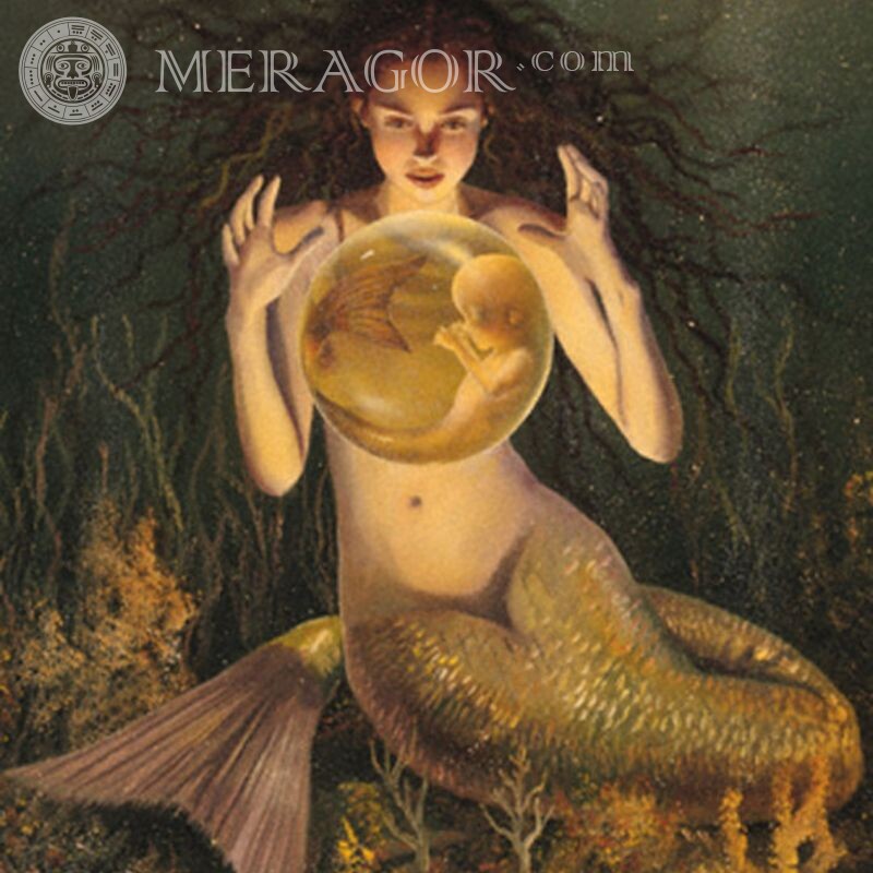 Descarga de avatar de sirena en la portada Sirenas