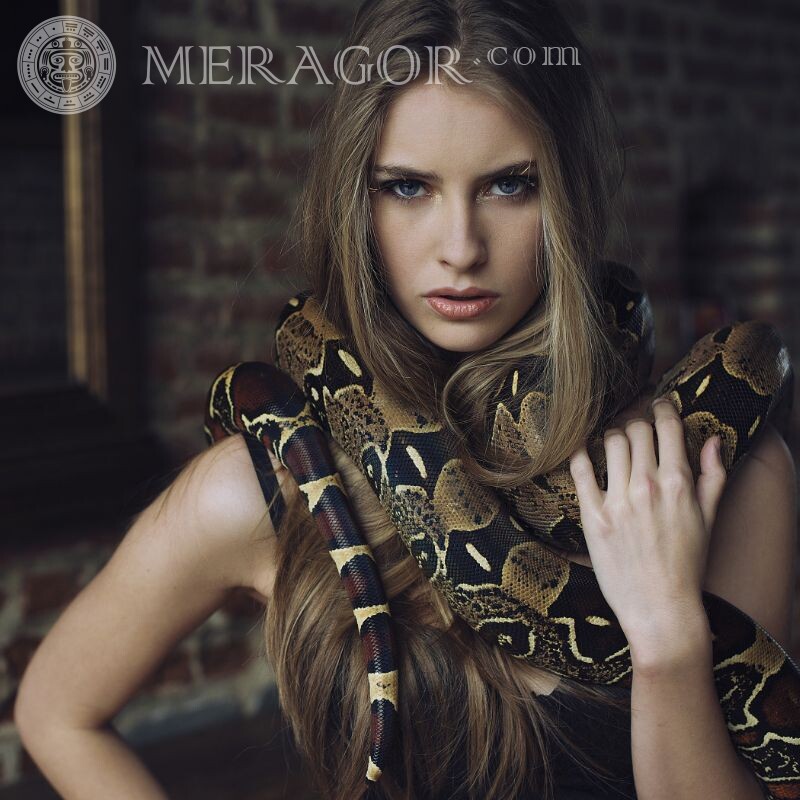 Chica rubia con serpiente Hermosos Caras, retratos Empinado