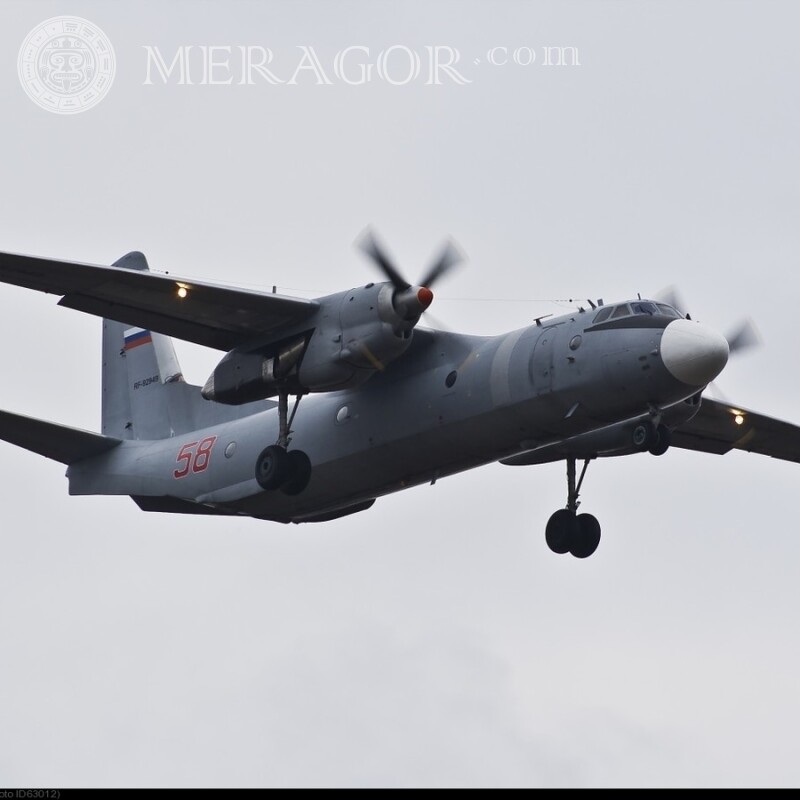 Kostenloser Download für Avatar-Militärflugzeuge Militärische Ausrüstung Transport