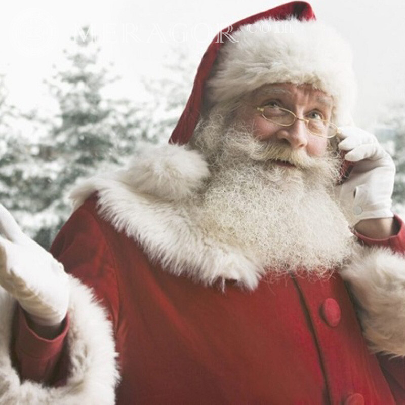 Santa Claus photo on avatar download Santa Claus New Year Holidays