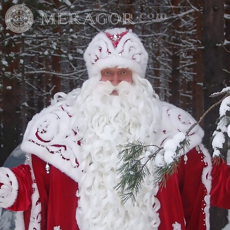 Photo du père noël télécharger sur avatar Père Noël de Nouvel an Fêtes
