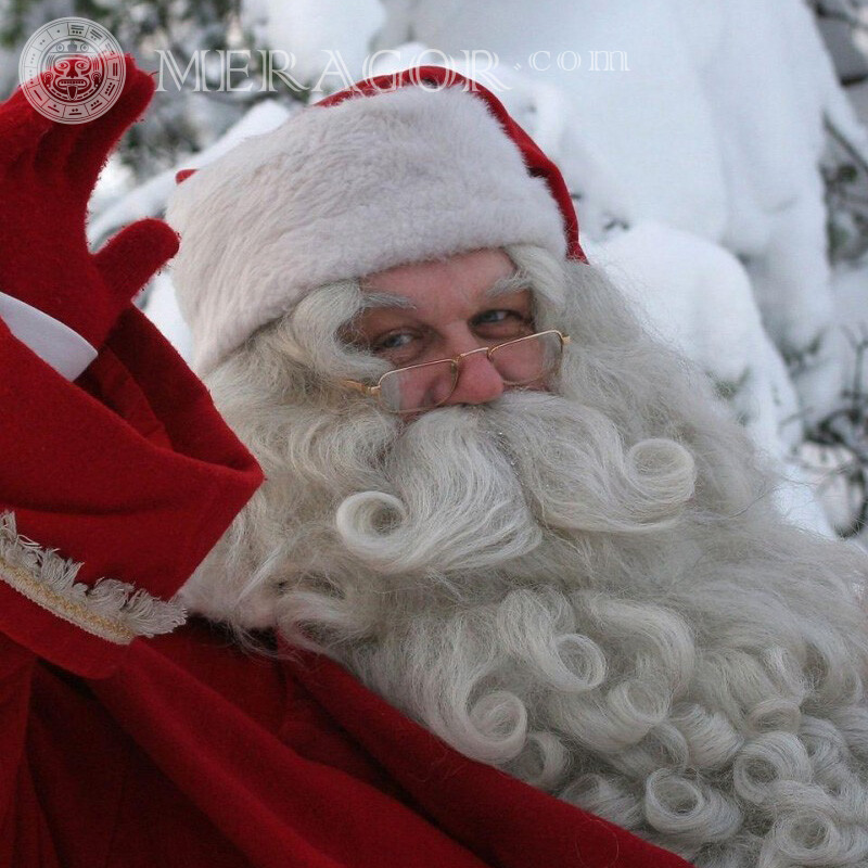 Photo Avatar du Père Noël d'hiver Père Noël de Nouvel an Fêtes