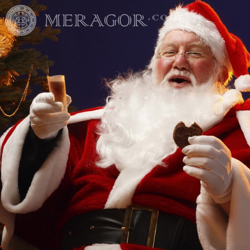 Avatar Santa Claus Papá Noel Para el año nuevo Fiesta